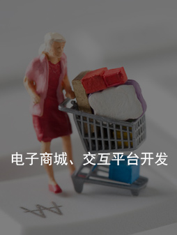 电子商城、交互平台开发